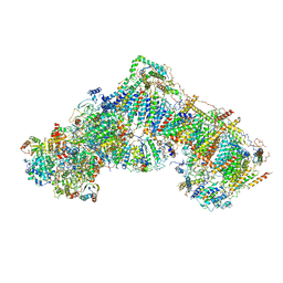 BU of 5ldx by Molmil