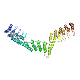 BU of 5lec by Molmil