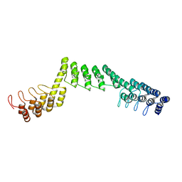 BU of 5led by Molmil