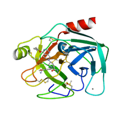 BU of 5lgo by Molmil