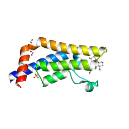 BU of 5lj0 by Molmil