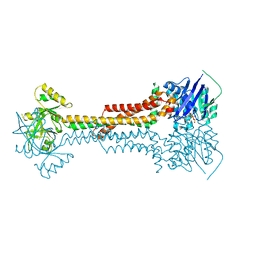 BU of 5lj6 by Molmil