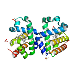 BU of 5lkv by Molmil