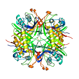 BU of 5ll1 by Molmil