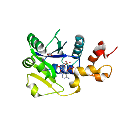 BU of 5lm3 by Molmil