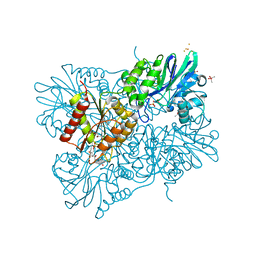 BU of 5lmc by Molmil