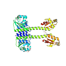 BU of 5lnh by Molmil