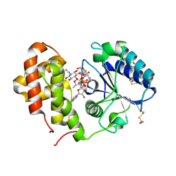 BU of 5lpa by Molmil