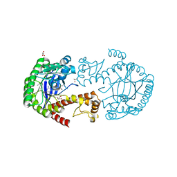 BU of 5lpo by Molmil