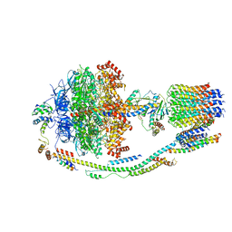 BU of 5lqx by Molmil