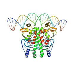 BU of 5lrs by Molmil