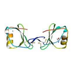 BU of 5ltl by Molmil