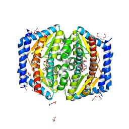 BU of 5lu5 by Molmil