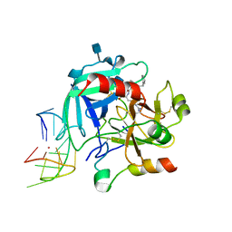 AU of 5luy by Molmil