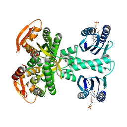 BU of 5mbd by Molmil