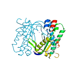 BU of 5mbg by Molmil