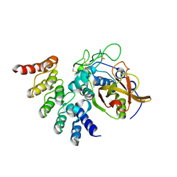 BU of 5mbm by Molmil