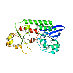 BU of 5mbt by Molmil