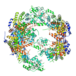 BU of 5mcp by Molmil