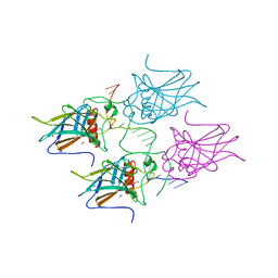 BU of 5mct by Molmil