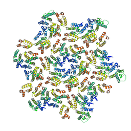 BU of 5mcx by Molmil