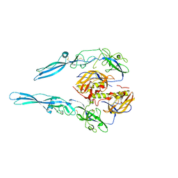 BU of 5mdm by Molmil