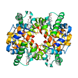 AU of 5me2 by Molmil