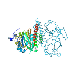 BU of 5mg0 by Molmil