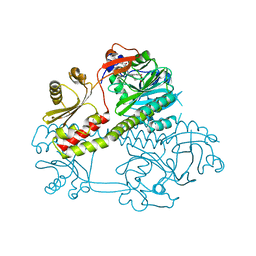 BU of 5mg1 by Molmil