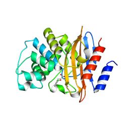 BU of 5mgi by Molmil