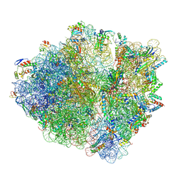 BU of 5mgp by Molmil