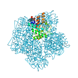 BU of 5mhb by Molmil