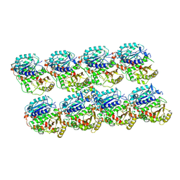 BU of 5mjs by Molmil