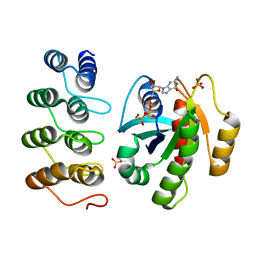 BU of 5mla by Molmil