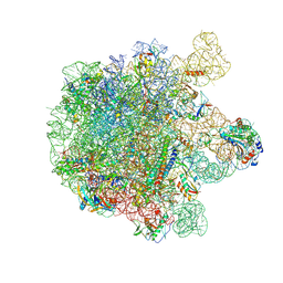 BU of 5mlc by Molmil