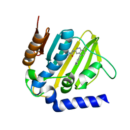 BU of 5mmn by Molmil