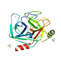 BU of 5mnc by Molmil