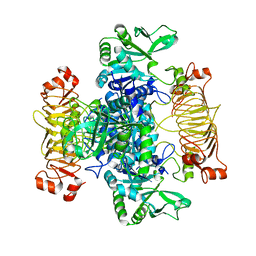 BU of 5mni by Molmil