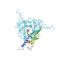 BU of 5mqw by Molmil