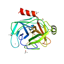 BU of 5ms4 by Molmil