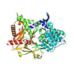 BU of 5msc by Molmil