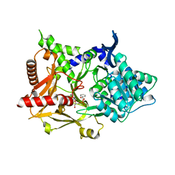 BU of 5msd by Molmil