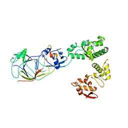 BU of 5msm by Molmil