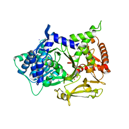 BU of 5msq by Molmil