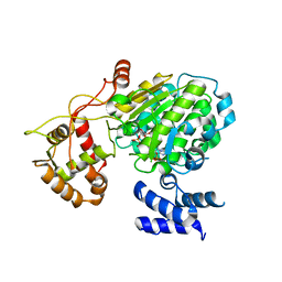 BU of 5msr by Molmil