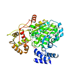 BU of 5msv by Molmil