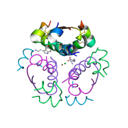 BU of 5mt3 by Molmil