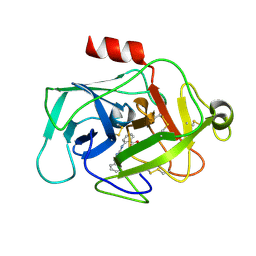 BU of 5mt4 by Molmil