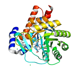 BU of 5mvd by Molmil