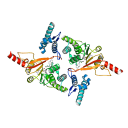 BU of 5mvs by Molmil